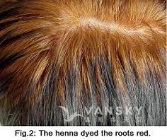 221207162204_Hair-Dying with henna-s.jpg